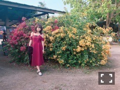 秋元 真夏｜こっぷんかーヽ(｡･ω･｡)ﾉ542（2018-01-06）｜2枚目