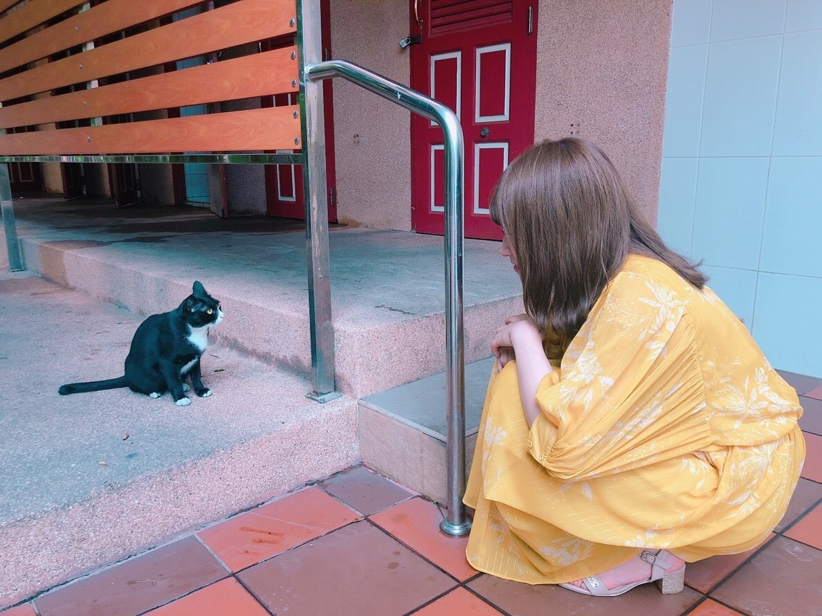 秋元 真夏｜世界ふしぎ発見ヽ(｡･ω･｡)ﾉ577（2019-02-21）｜4枚目