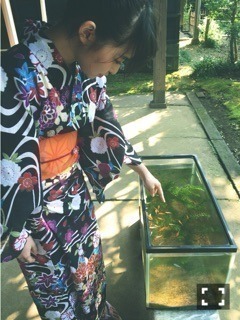 伊藤 万理華｜はじまった。729回目（2016-07-24）｜3枚目