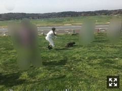 星野みなみ｜初散歩（2017-05-09）｜4枚目