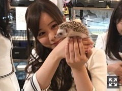 星野みなみ｜明日はライブ！（2017-06-30）｜5枚目