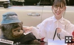 堀 未央奈｜ぱらばじょ〜（2018-05-30）｜5枚目