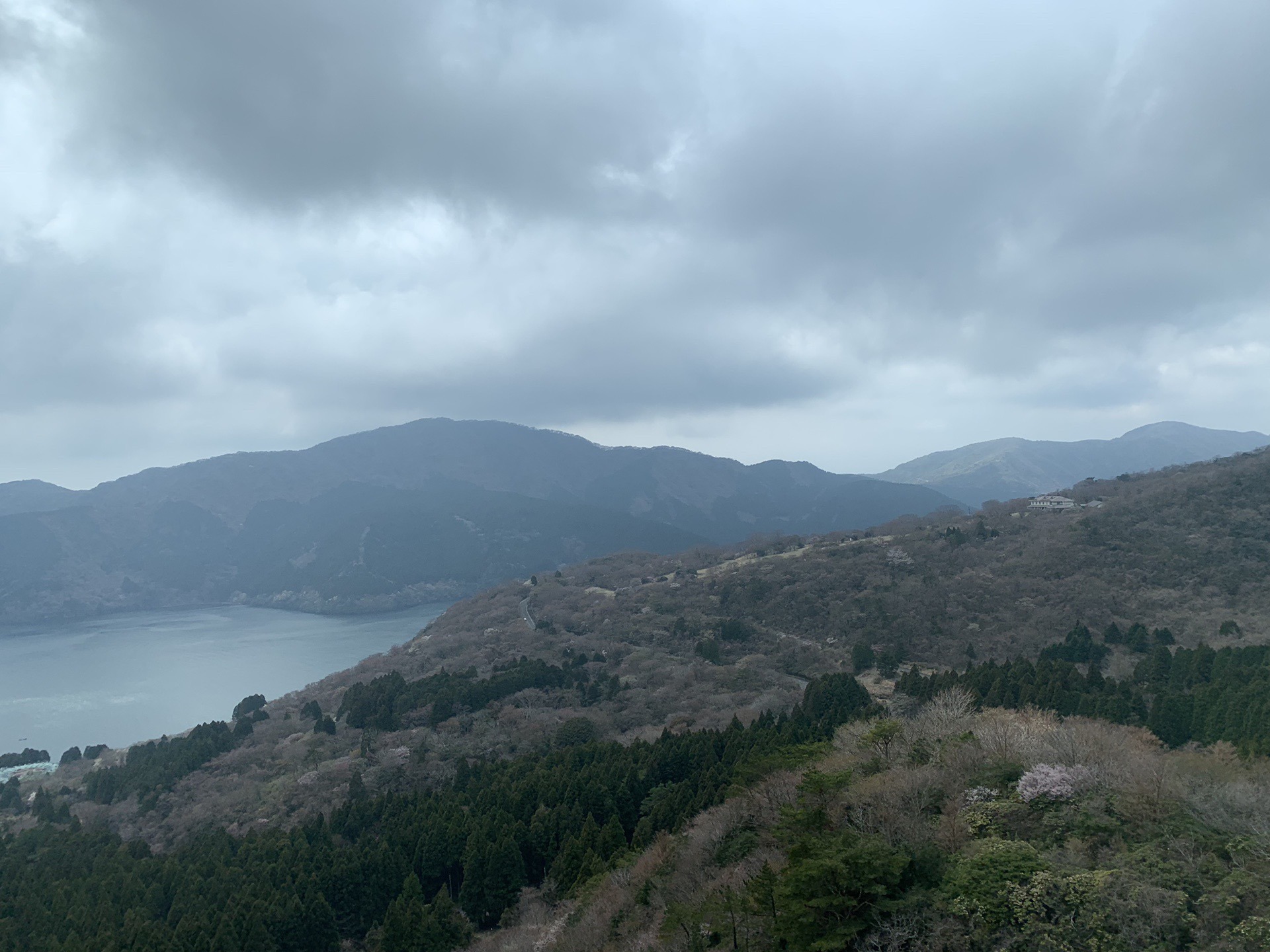 渡辺 みり愛｜一言芳恩（2019-04-23）｜3枚目