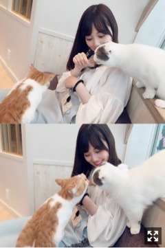 山下 美月｜やっほー( ˙꒳​˙  )（2019-05-31）