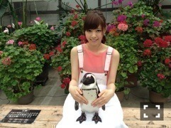 西野 七瀬｜W(`0`)W VS ｱﾘｶﾞﾄ ﾖｰﾖｰ( ･_･)/-------◎（2013-07-04）｜2枚目