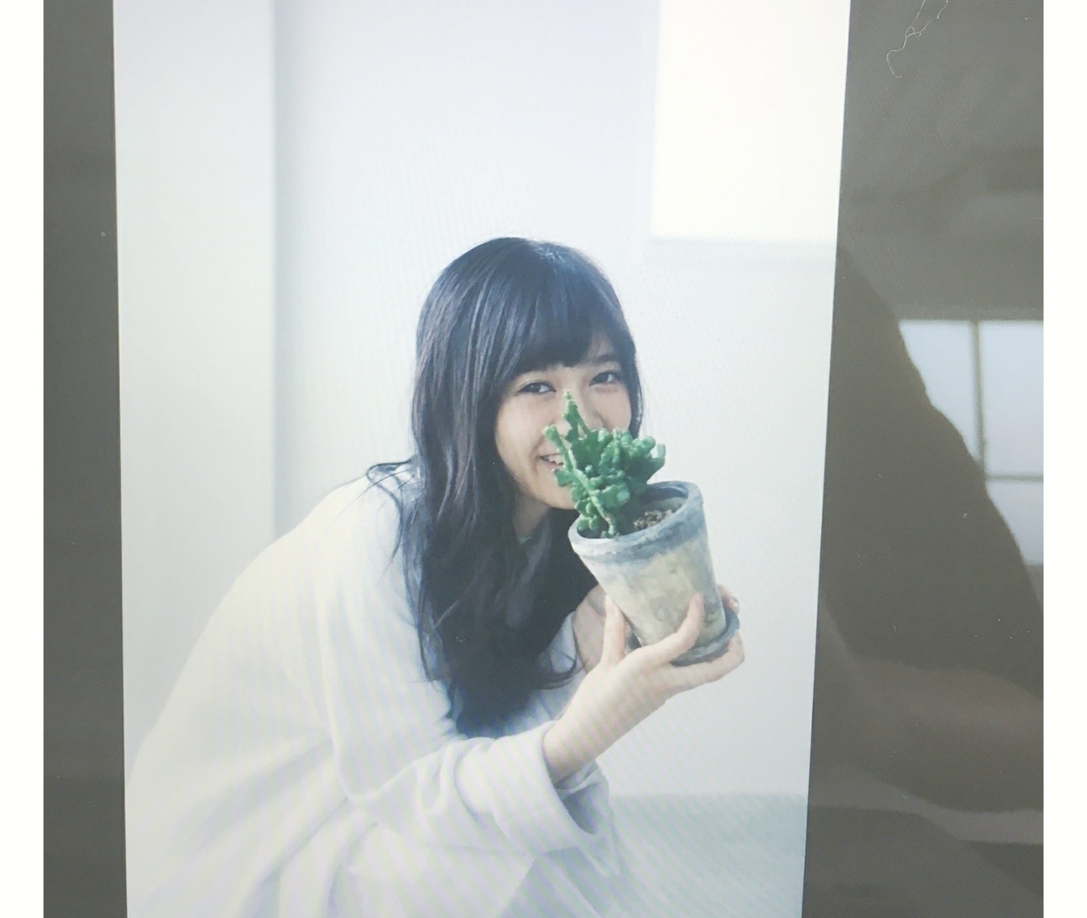 寺田 蘭世｜知らないうちに（2016-11-20）｜4枚目