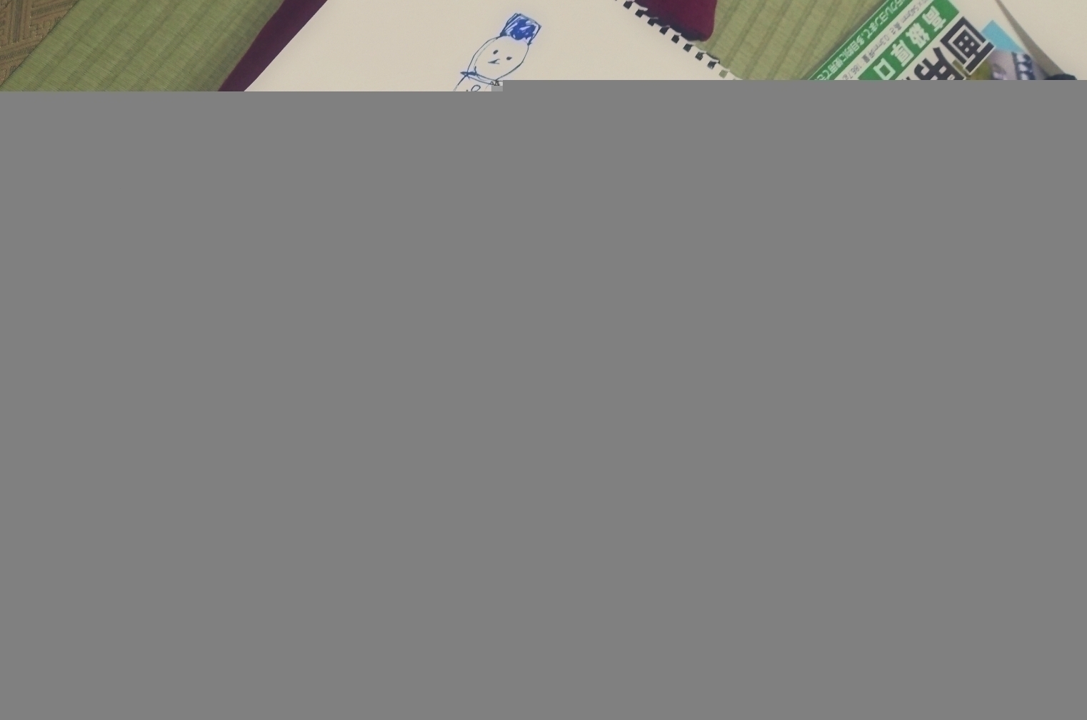 寺田 蘭世｜最近わかるようになった（2017-11-21）｜5枚目
