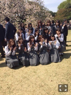 桜井 玲香｜2015.04.19（2015-04-19）｜2枚目