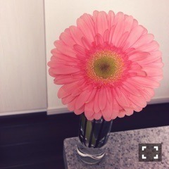 山崎 怜奈｜お財布に優しくて可 愛いスーツを教えて ください。137（2016-03-10）｜2枚目