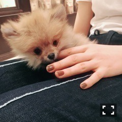 山崎 怜奈｜場所（2017-08-04）｜2枚目