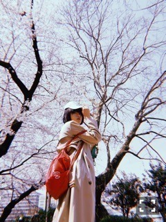 山崎 怜奈｜そしてまた（2018-04-01）｜2枚目