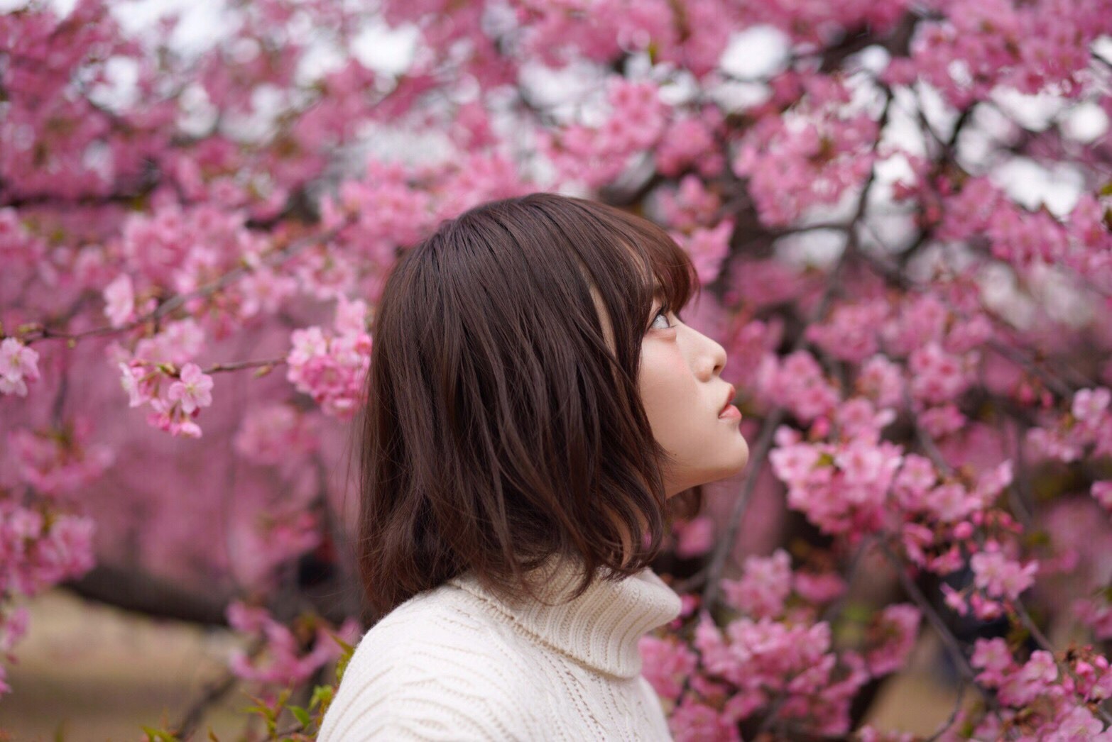 山崎 怜奈｜なにか（2019-03-11）