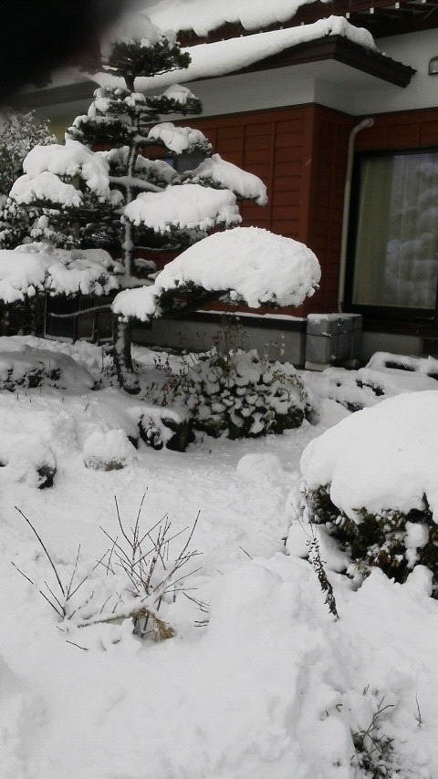 生駒 里奈｜いこまん家は雪に埋もれたよ。（2012-12-10）