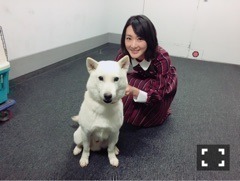 生駒 里奈｜やっと出会えた(*´꒳`*)（2016-11-28）｜5枚目