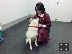 生駒 里奈｜やっと出会えた(*´꒳`*)（2016-11-28）｜6枚目