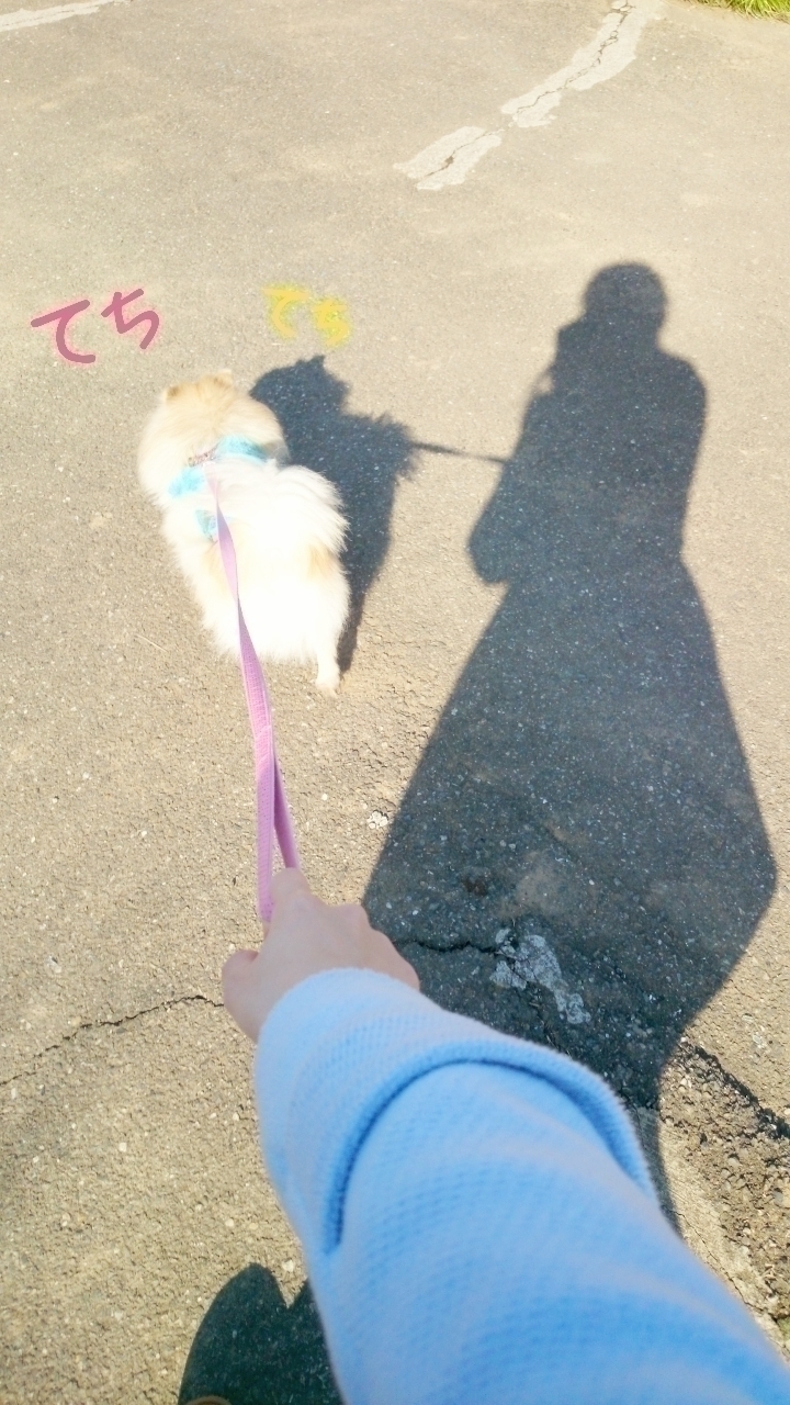 井上 小百合｜ヽ(。・ω ・。)リ ーくんの冒険（2014-03-05）｜2枚目