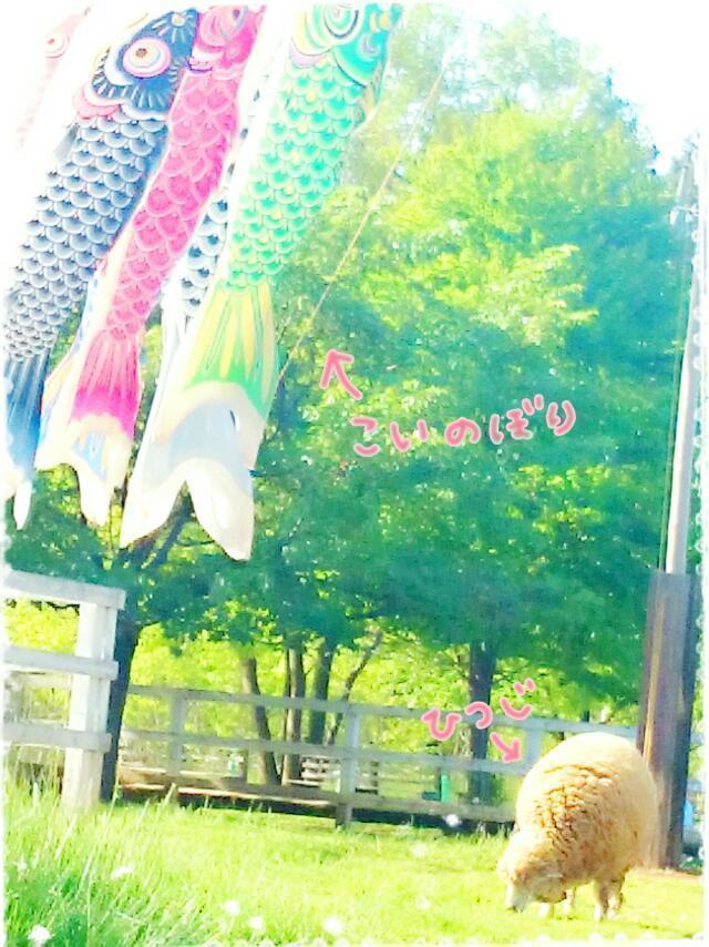 井上 小百合｜ヽ(｡･ω･｡)屋根より高い ～♪（2015-05-08）｜8枚目