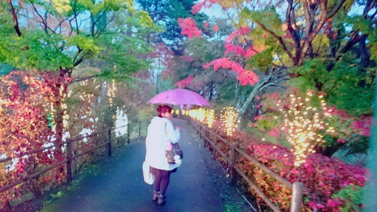 井上 小百合｜ヽ(｡･ω･｡)冬桜の季節（2015-11-13）｜8枚目