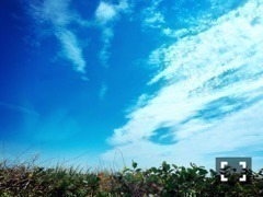 井上 小百合｜ヽ(｡･ω･｡)蝉（2016-07-25）｜7枚目