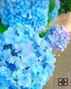 井上 小百合｜ヽ(｡･ω･｡)にらめっこ（2017-07-06）｜6枚目