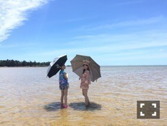 若月 佑美｜last 5（2016-08-26）｜3枚目