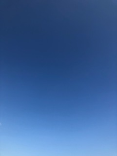 北川 悠理｜7日後にお誕生日を迎えるブログ　北川悠理（2020-08-01）｜2枚目