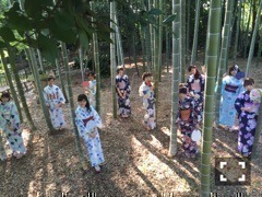 斉藤 優里｜浴衣三昧！！！（2016-07-25）｜2枚目