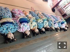 斉藤 優里｜にゃんにゃん（2017-06-28）｜2枚目