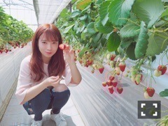 斉藤 優里｜君にパラグライダー（2018-04-05）｜3枚目