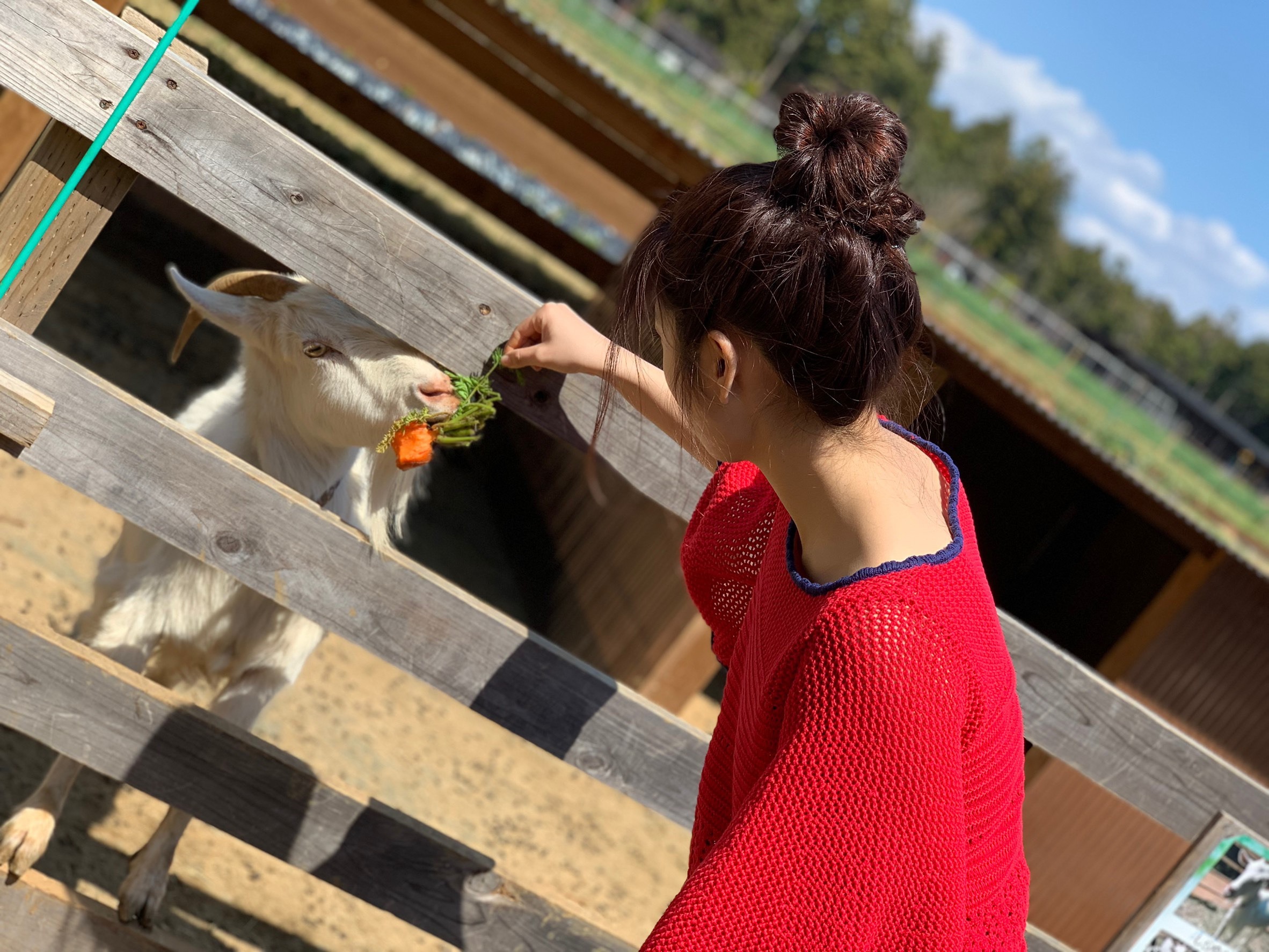 斉藤 優里｜生野菜を丸かじり（2019-04-25）｜2枚目