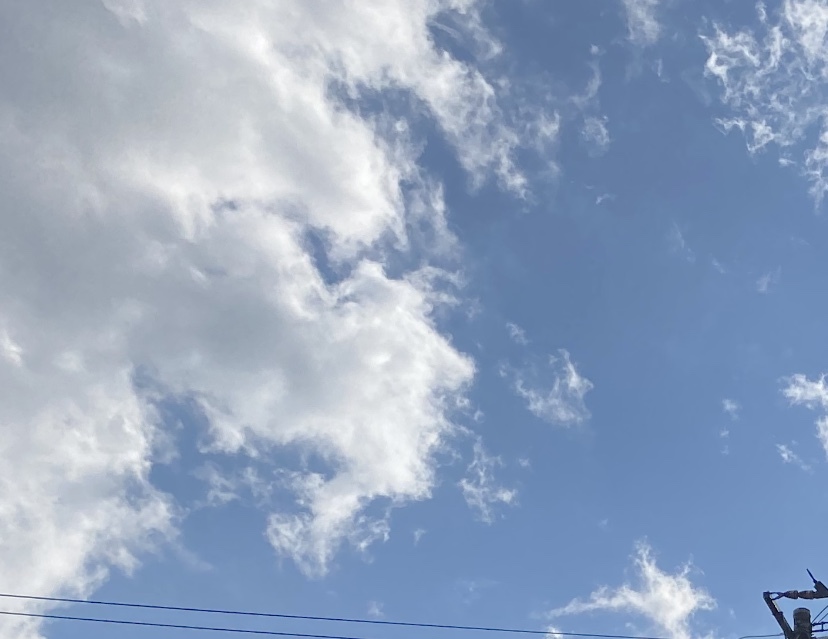 藤吉 夏鈴｜#2（2020-11-10）