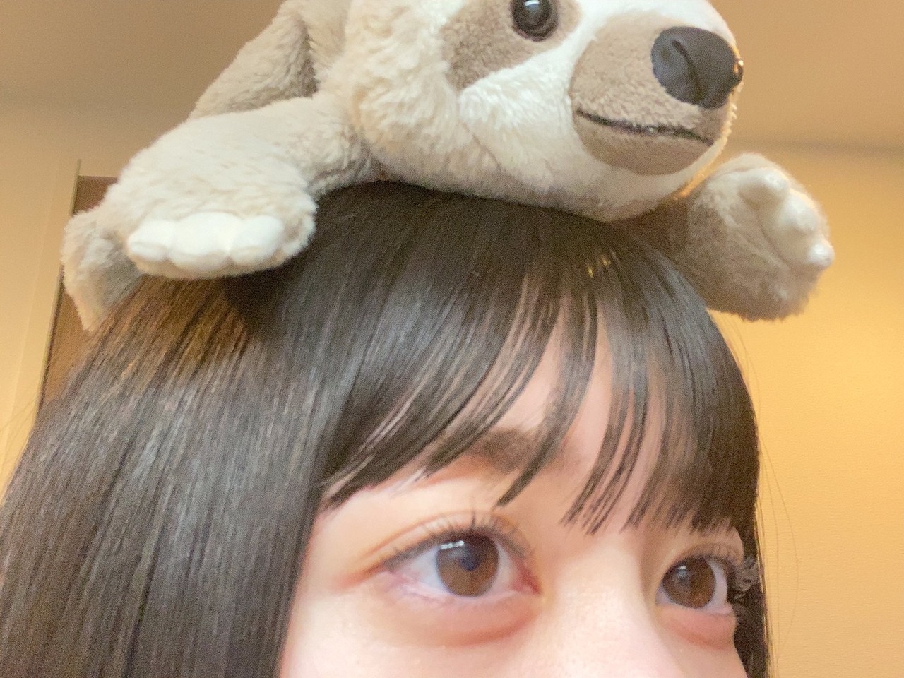 幸阪 茉里乃｜お気に入りのナマケモノちゃんです🦥（2020-11-12）