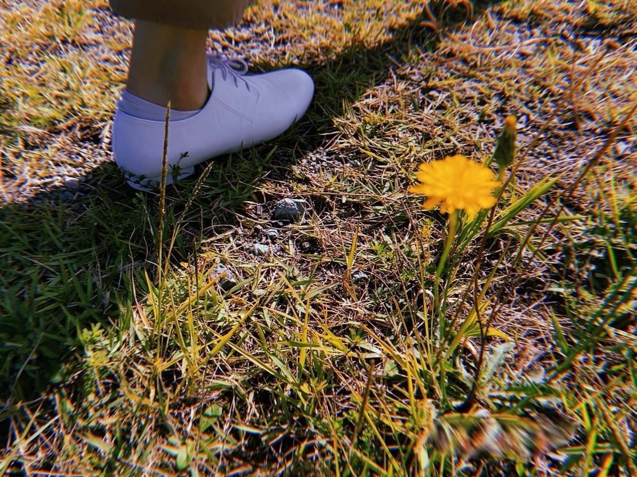 松田 里奈｜綺麗な景色（2020-11-14）