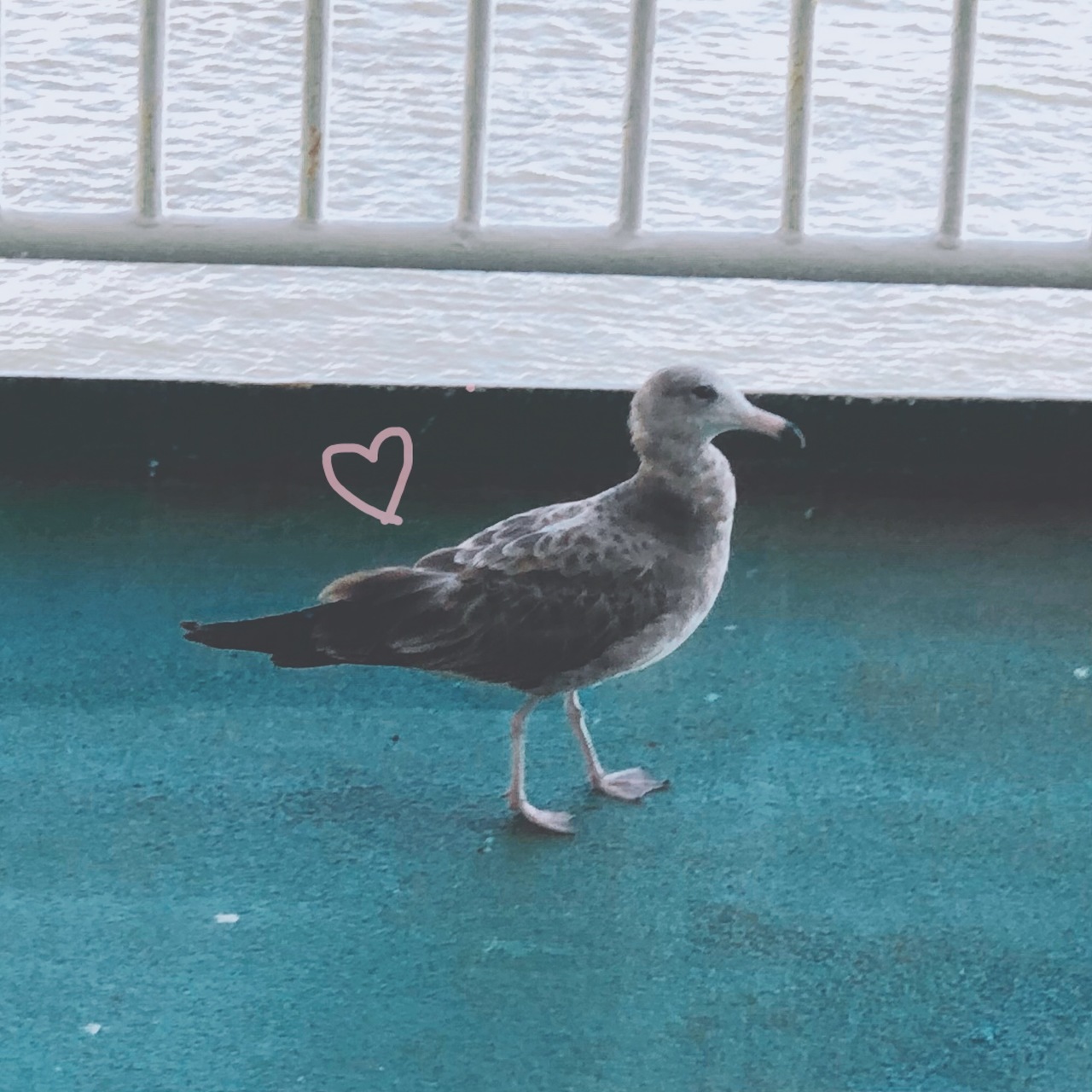 大園 玲｜櫻坂46の1stシングル「（2020-11-19）