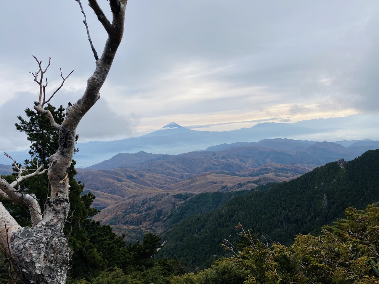 森田 ひかる｜1stシングルヒット祈願（2020-12-24）