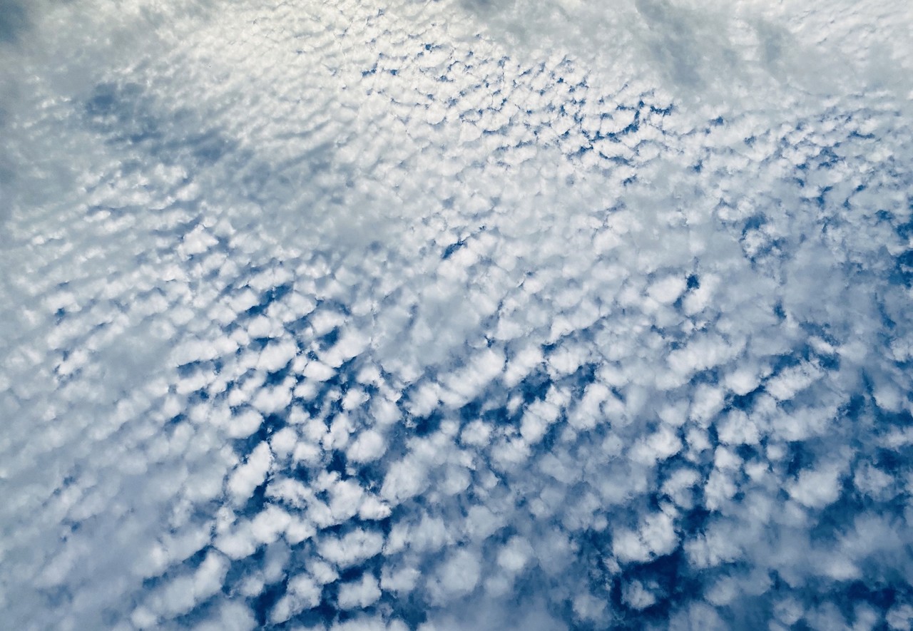 森田 ひかる｜クリスマス（2020-12-25）