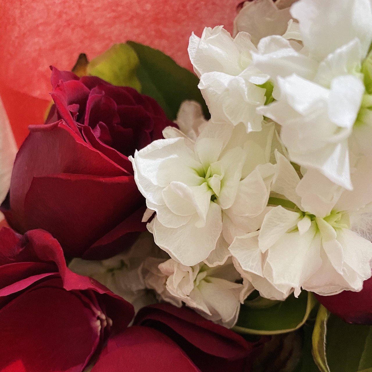 森田 ひかる｜感謝（2020-12-31）