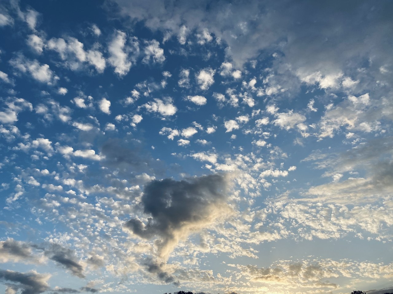 森田 ひかる｜最初に文字大きく書きすぎて、下の方が小さくなってバランス悪くなっちゃうことありますよね（2021-02-23）