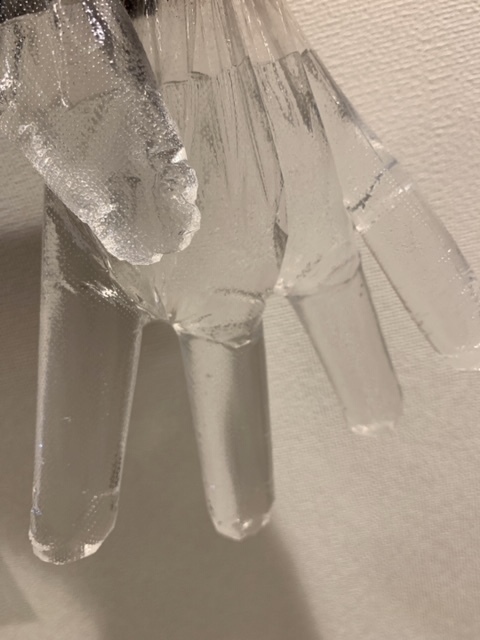 増本 綺良｜春（2021-02-25）