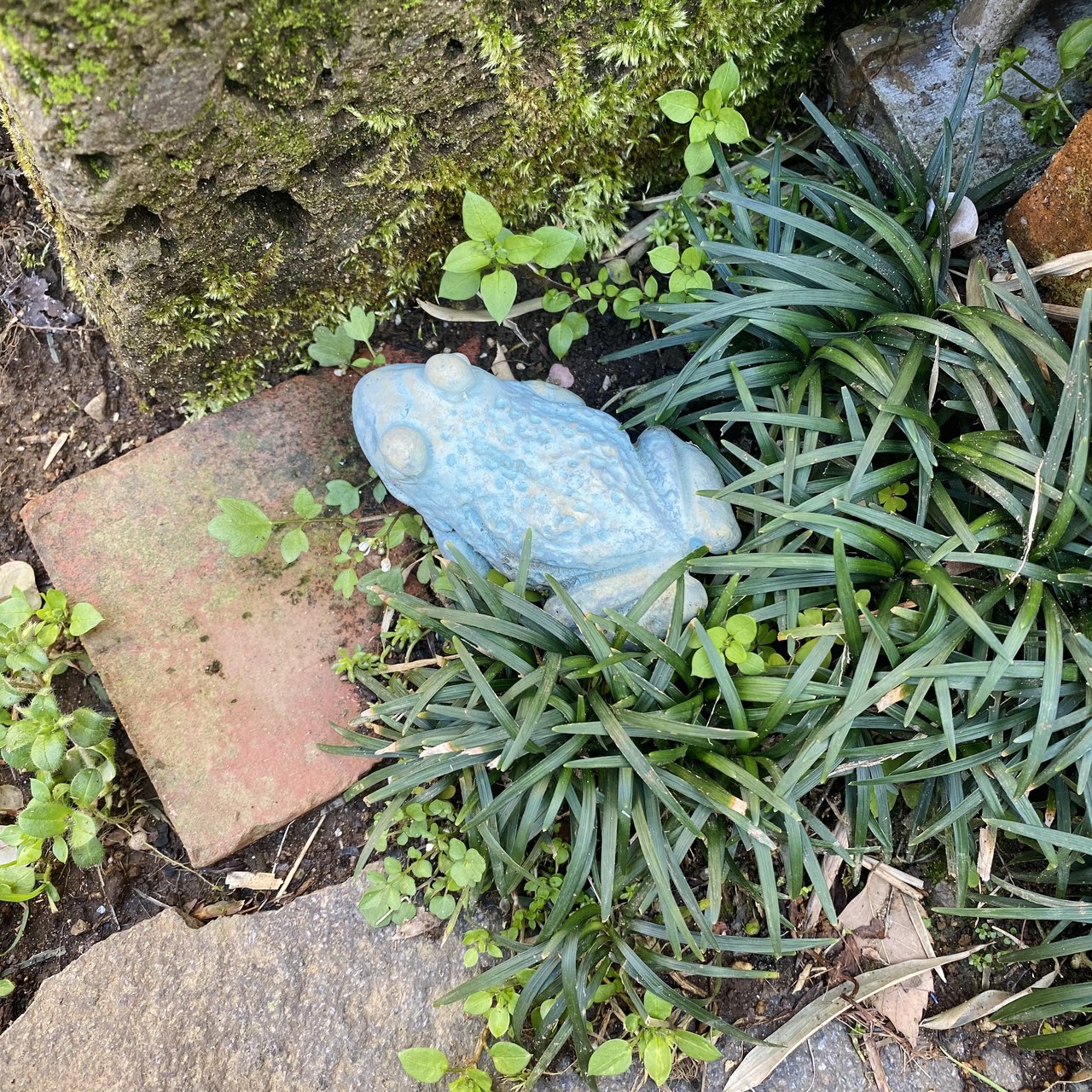 森田 ひかる｜今夜！（2021-03-14）