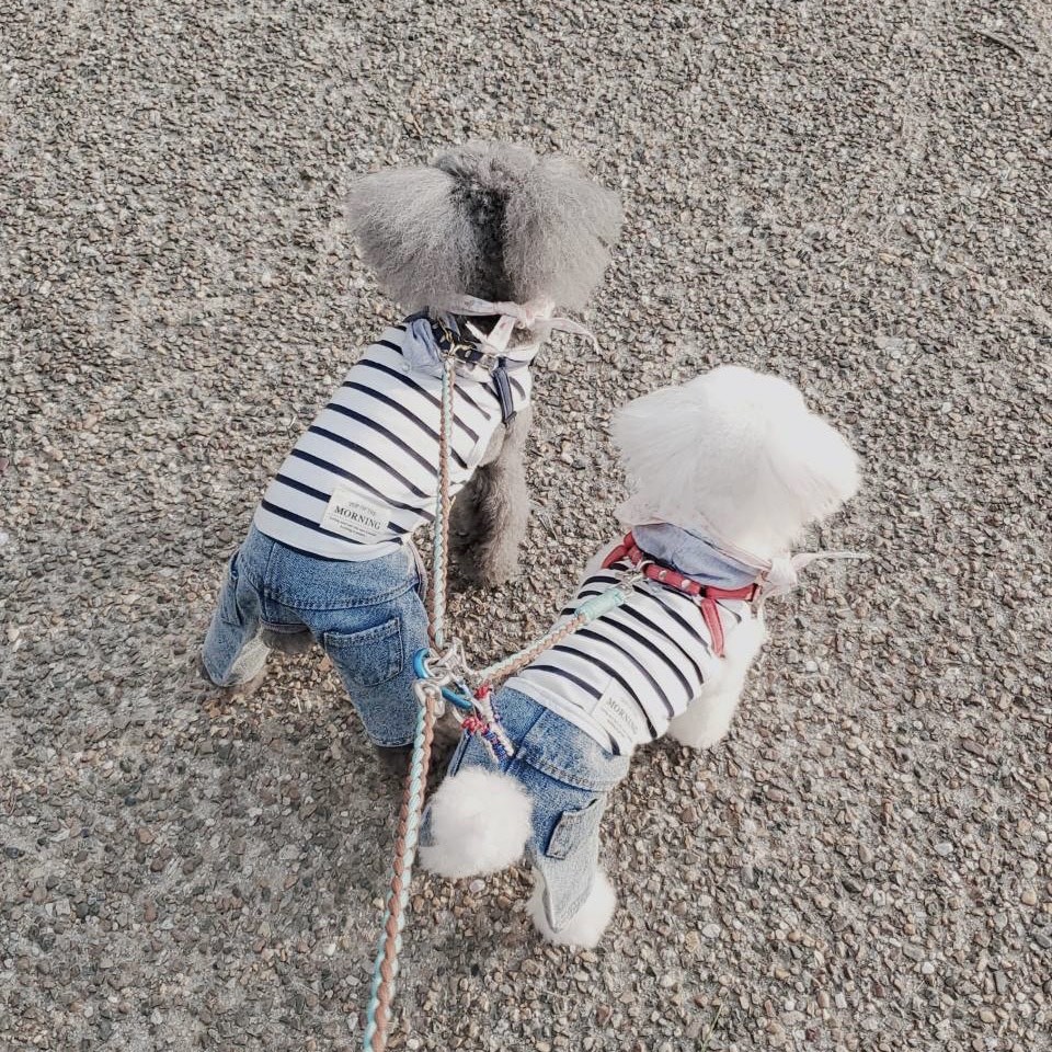 田村 保乃｜アニメ（2021-04-04）｜2枚目