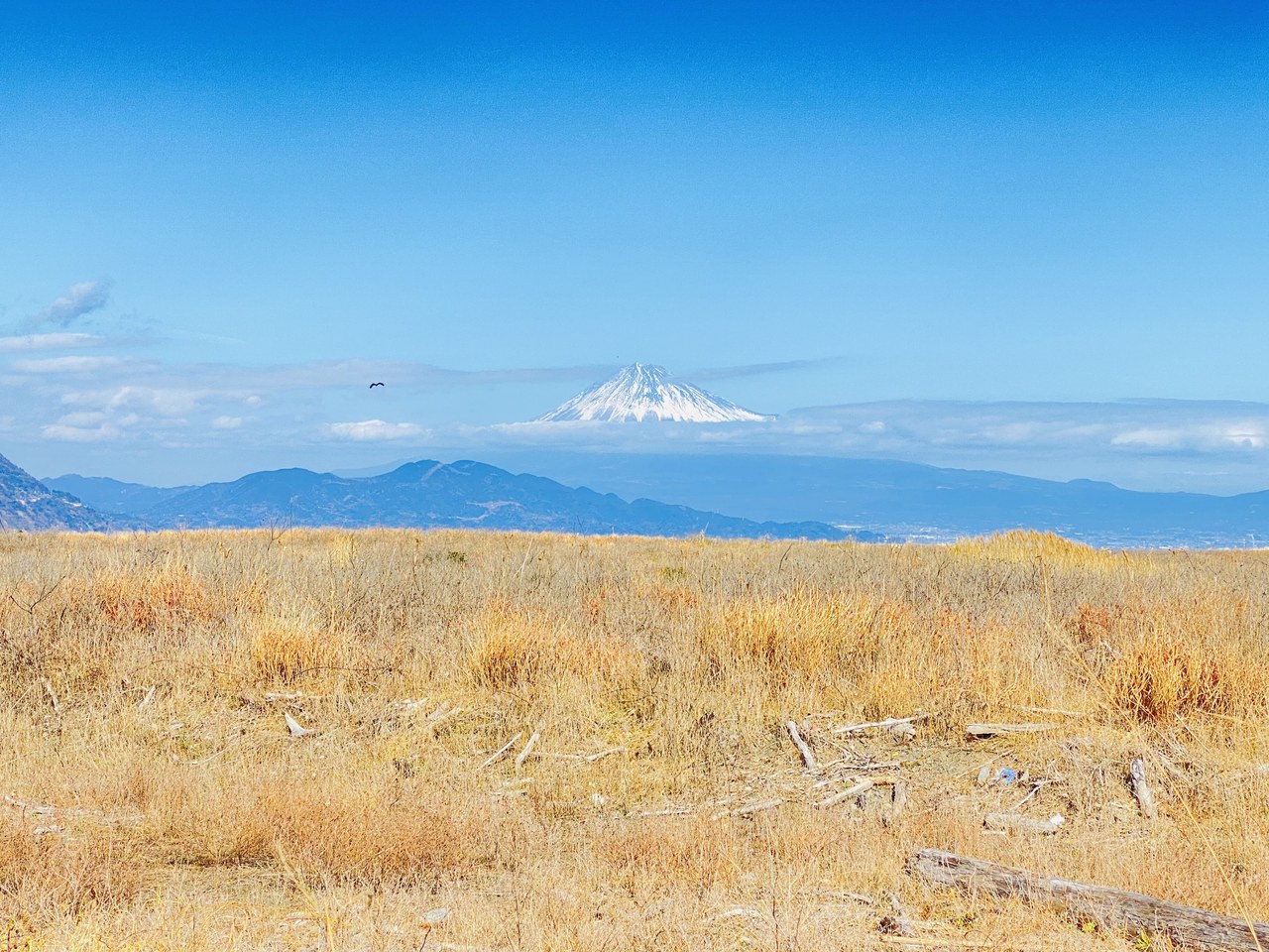 田村 保乃｜思ったよりも（2021-04-07）