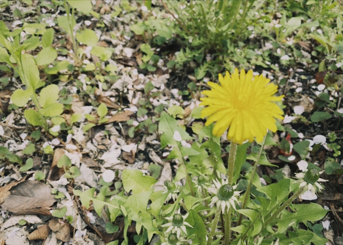 松田 里奈｜春🌸2ndシングル｢BAN｣発売まであと7日（2021-04-07）