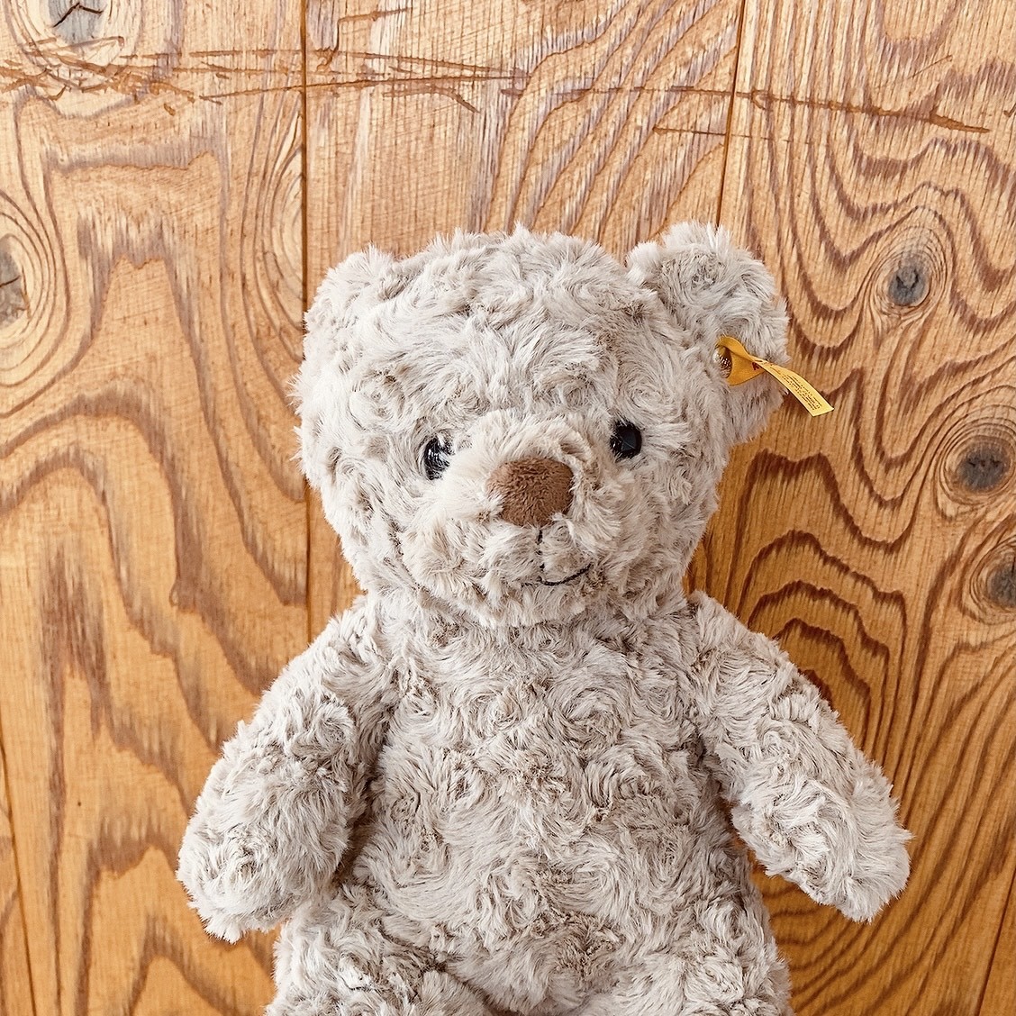 森田 ひかる｜ネモフィラ畑に行ってみたい（2021-04-18）