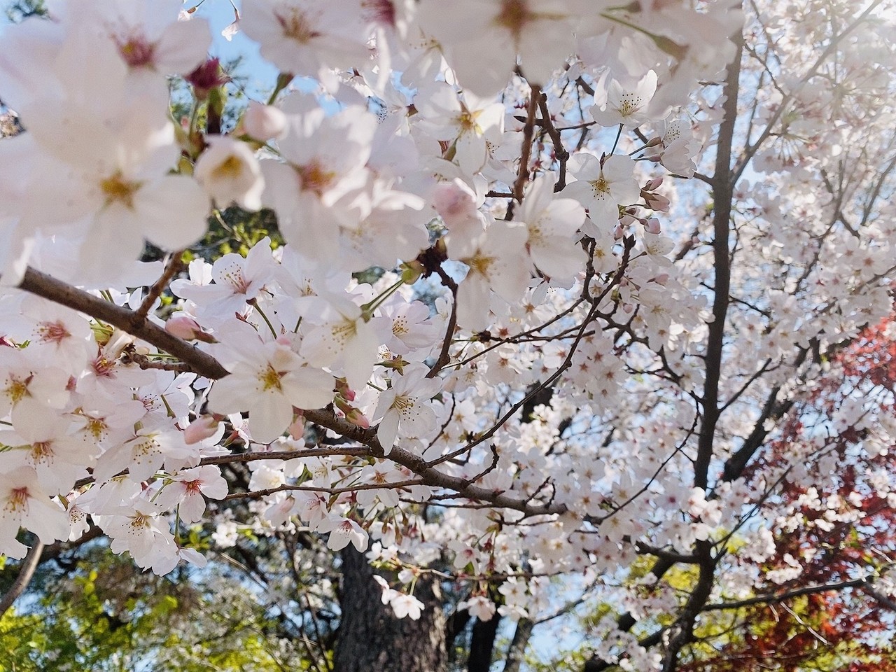 森田 ひかる｜アップトゥボーイさん（2021-04-29）