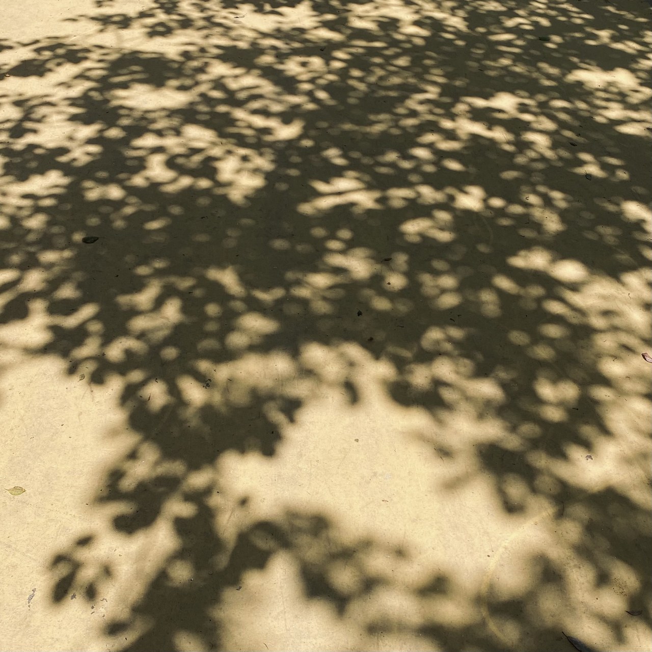 森田 ひかる｜私って、何色のイメージがありますか？（2021-05-07）