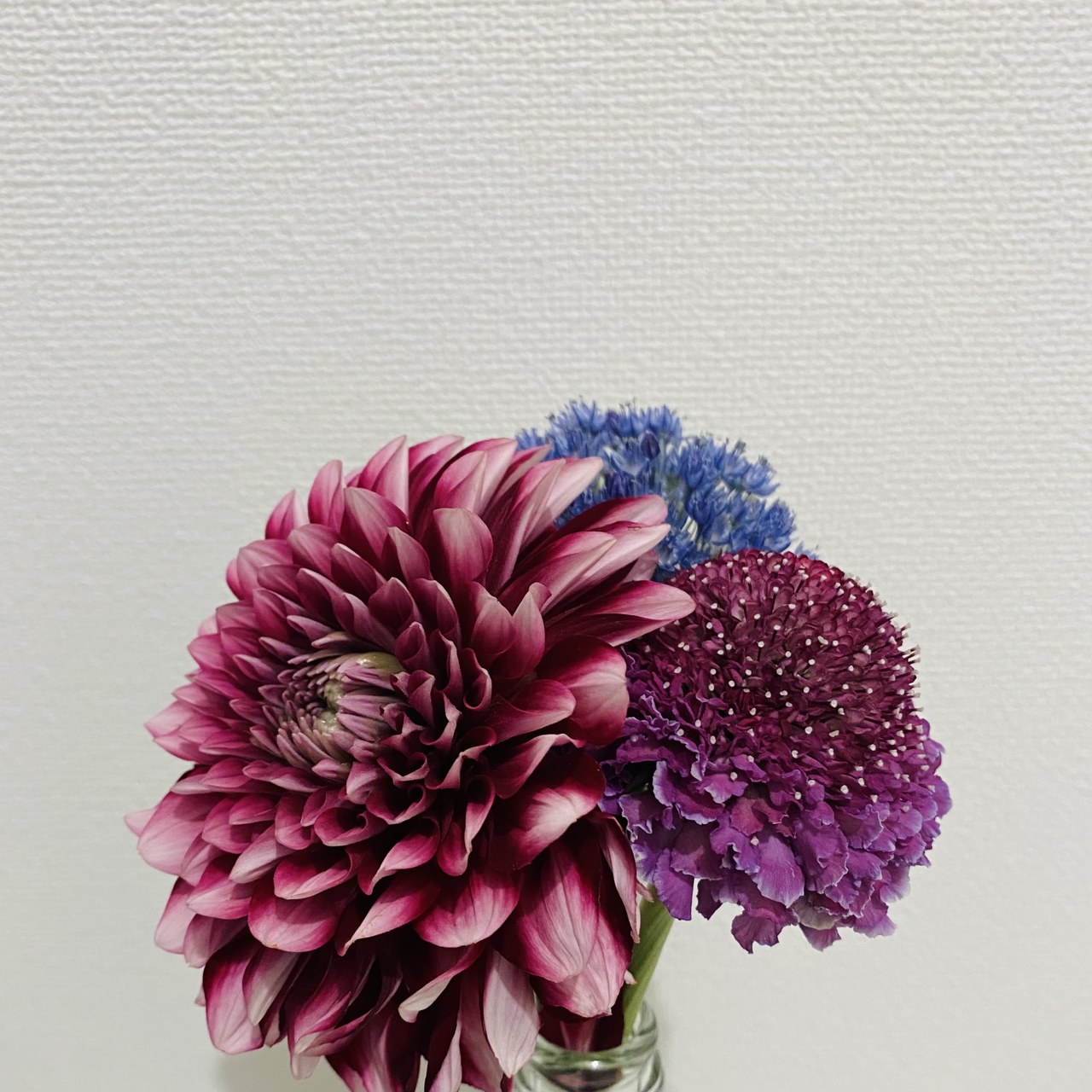 森田 ひかる｜コケコッコー（2021-06-29）