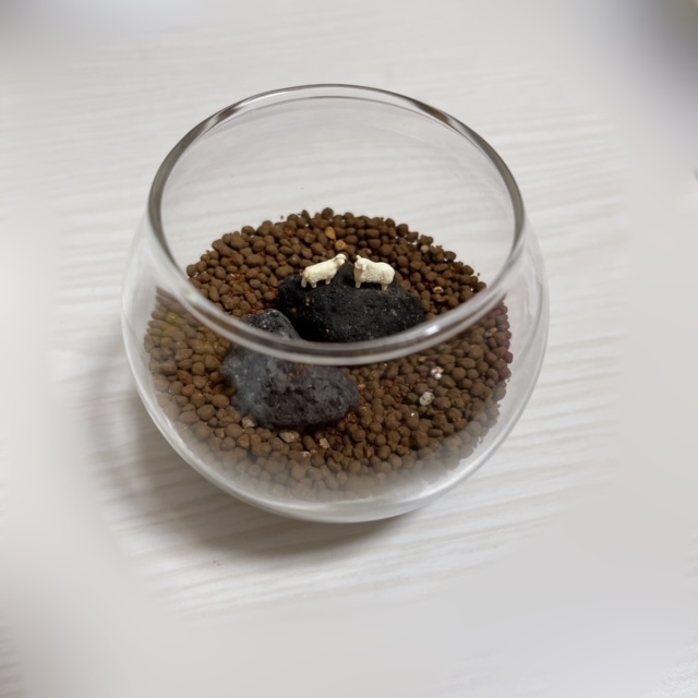 大園 玲｜寝る前には明日の朝ごはんに何（2021-07-09）