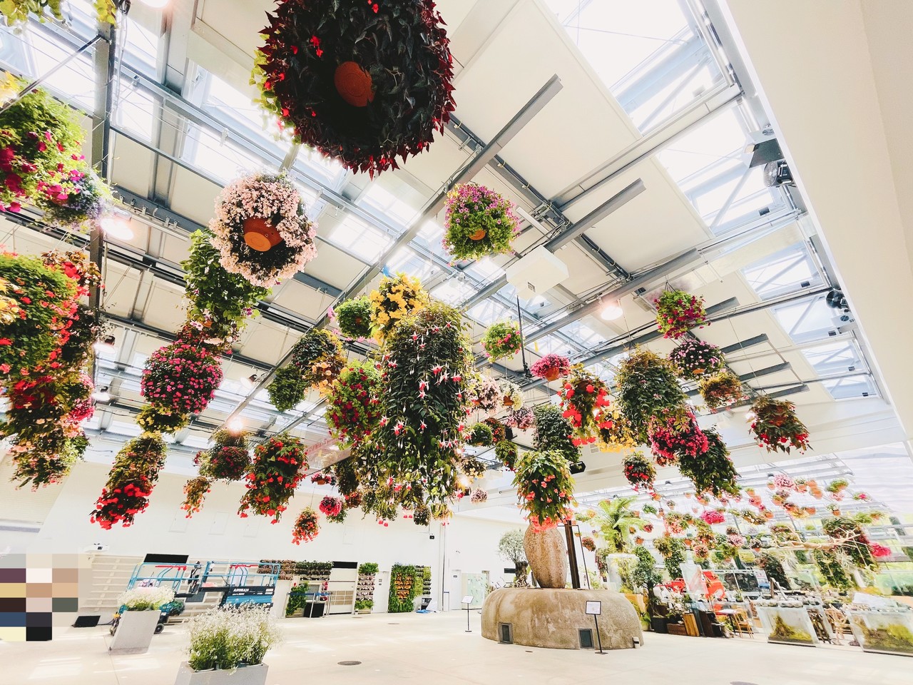 田村 保乃｜色（2021-07-09）