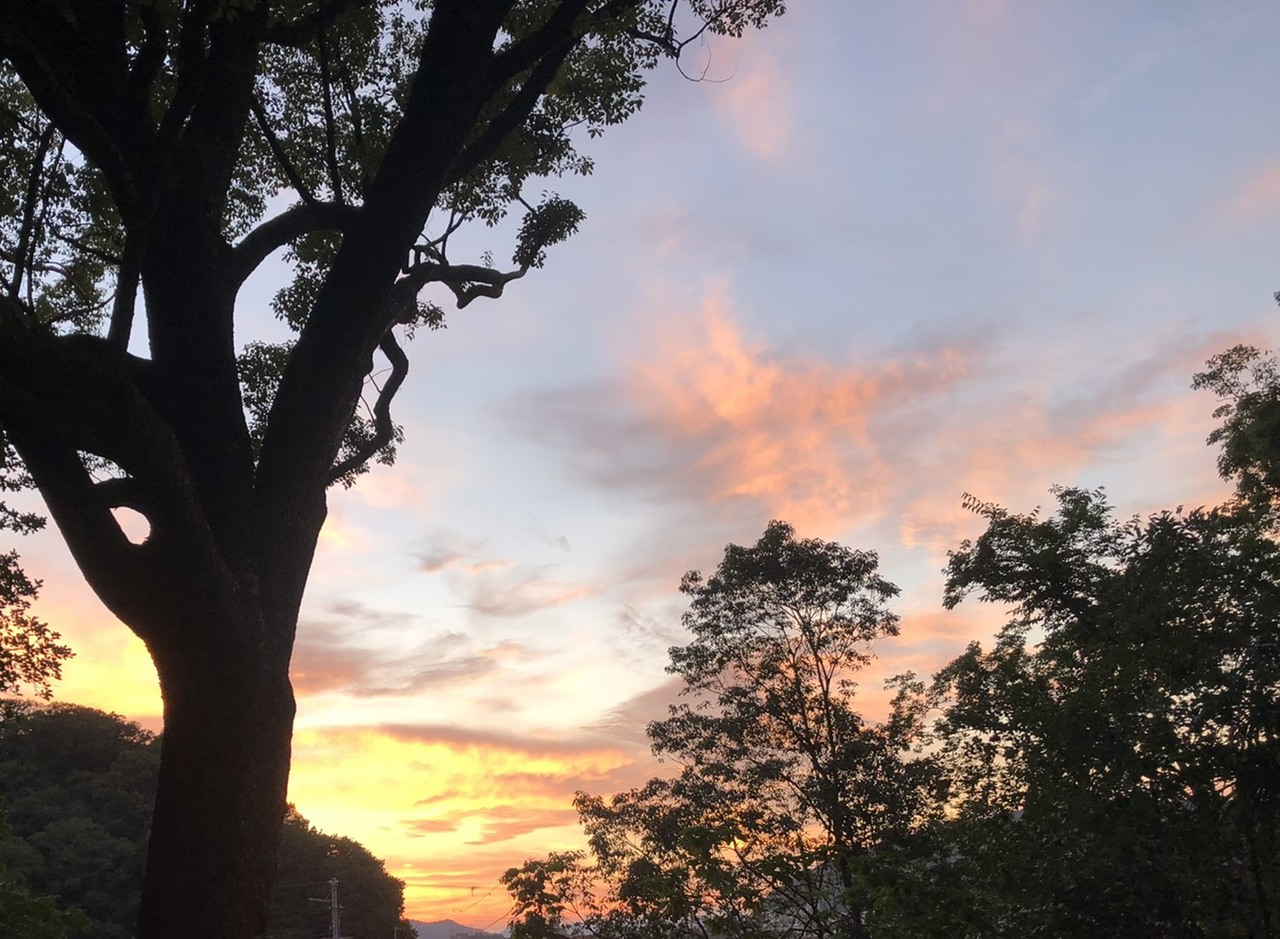 増本 綺良｜暑かった（2021-08-10）